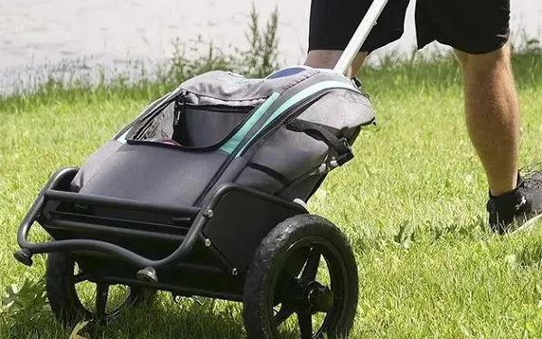 Disk   Golf   taška